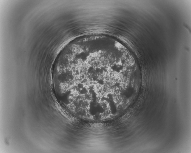 X0000102461031200809051305