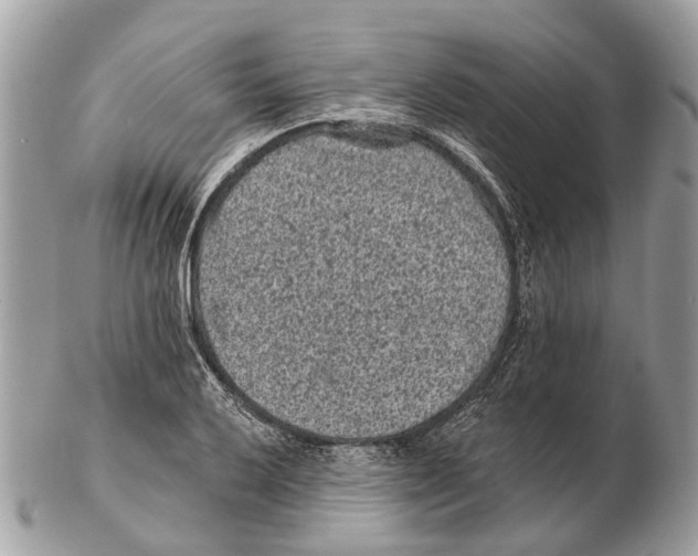 X0000102461032200809051305