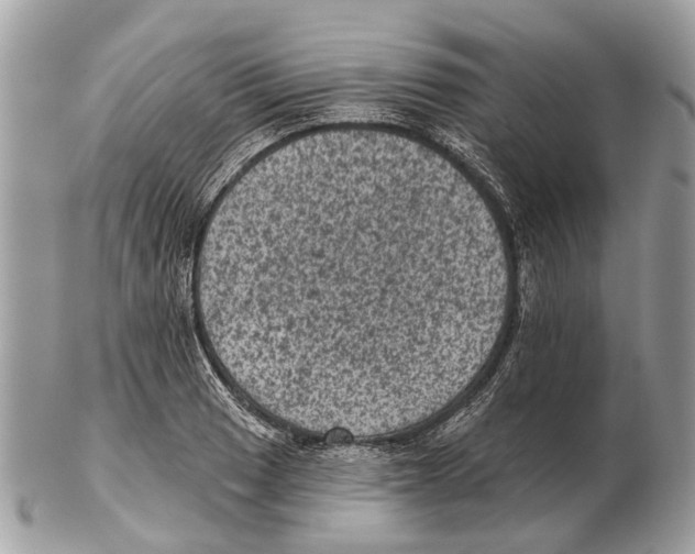 X0000102461033200809051305