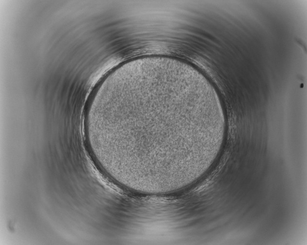 X0000102461034200809051305