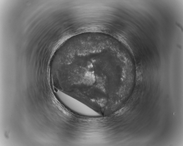 X0000102461035200809051305