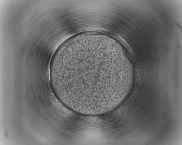 X0000102461036200809051305