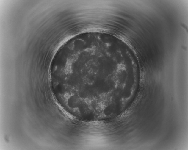 X0000102461037200809051305