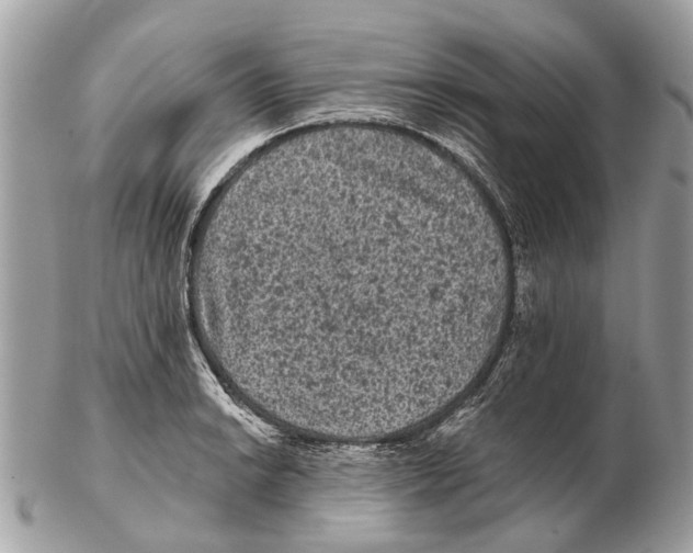 X0000102461038200809051305