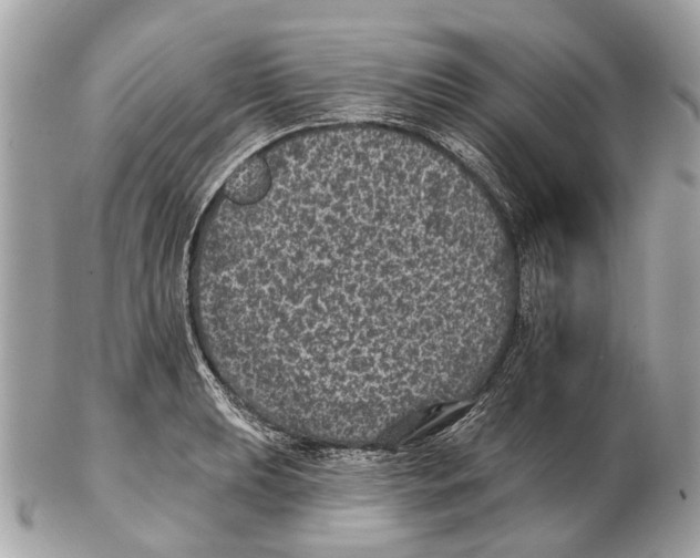 X0000102461039200809051305