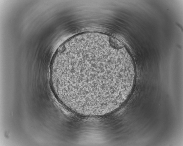 X0000102461040200809051305