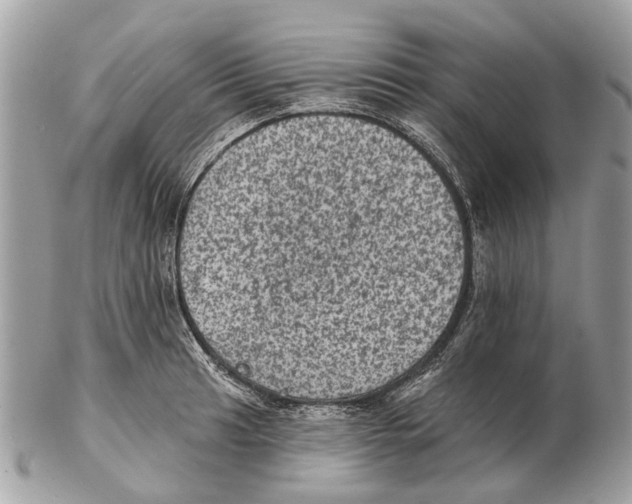 X0000102461041200809051305