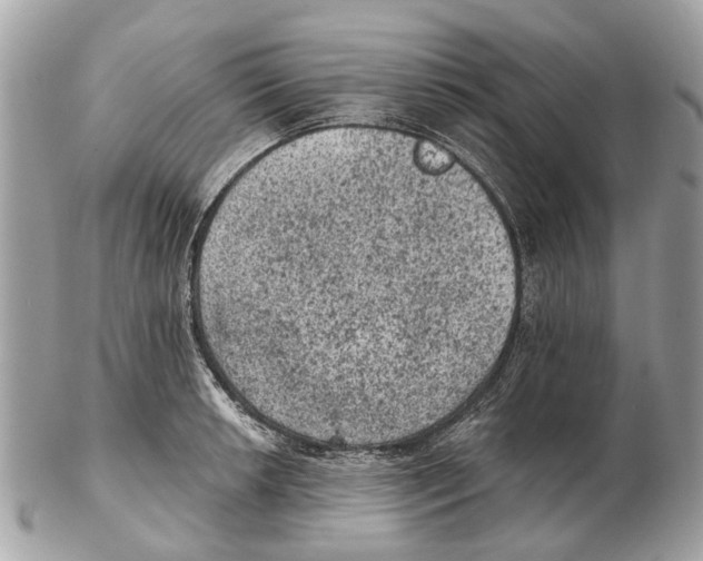 X0000102461042200809051305