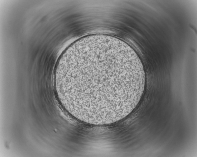 X0000102461044200809051305