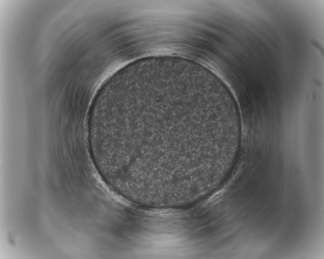 X0000102461045200809051305