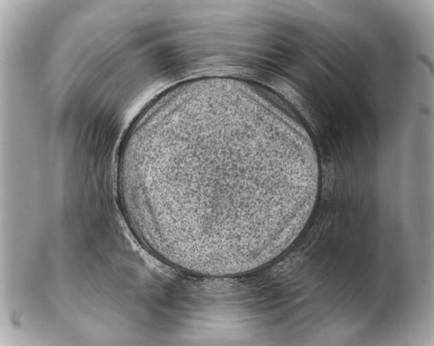 X0000102461046200809051305