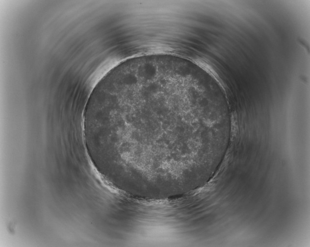X0000102461047200809051305