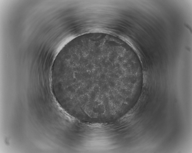 X0000102461048200809051305