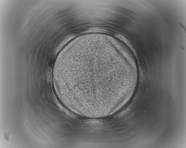 X0000102461049200809051305