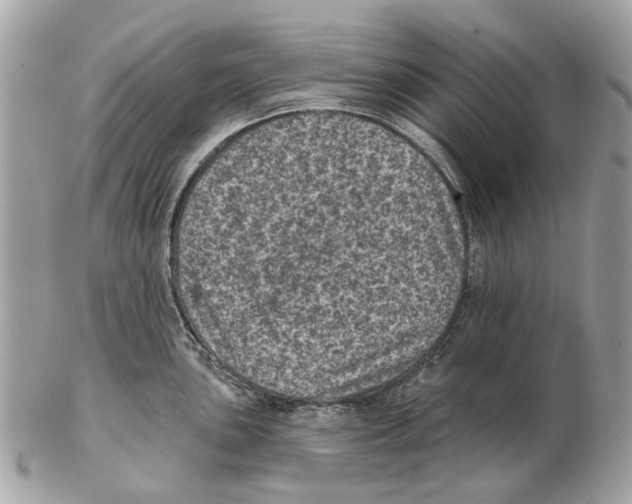 X0000102461051200809051305
