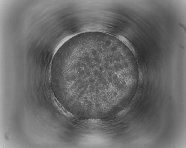 X0000102461052200809051305