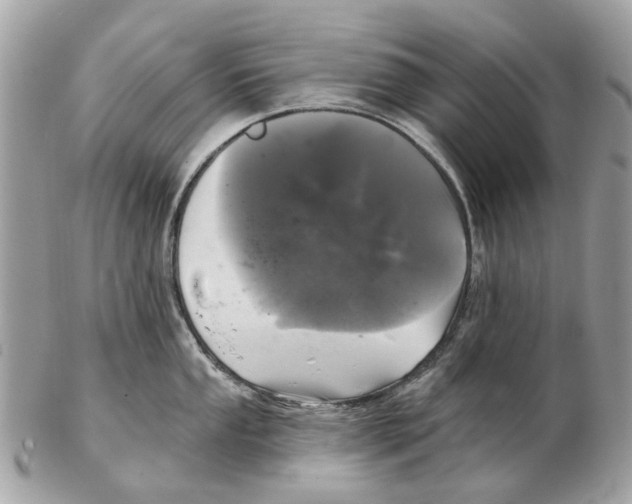 X0000102461053200809051305