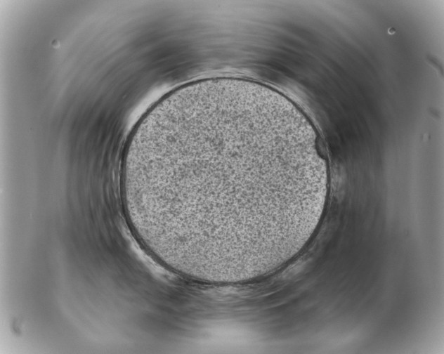 X0000102461054200809051305