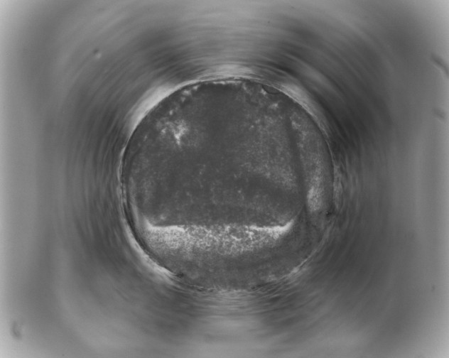 X0000102461055200809051305