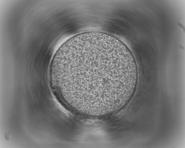 X0000102461056200809051305