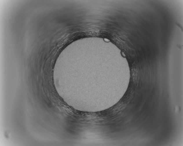 X0000102461057200809051305