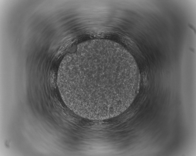X0000102461060200809051305