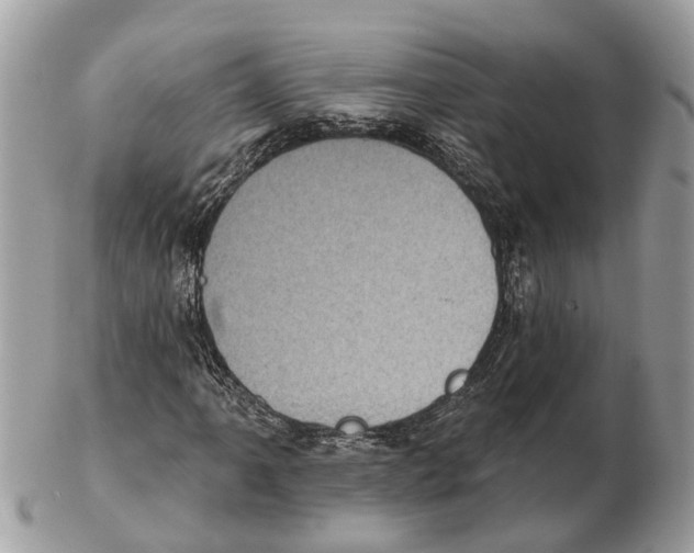 X0000102461061200809051305