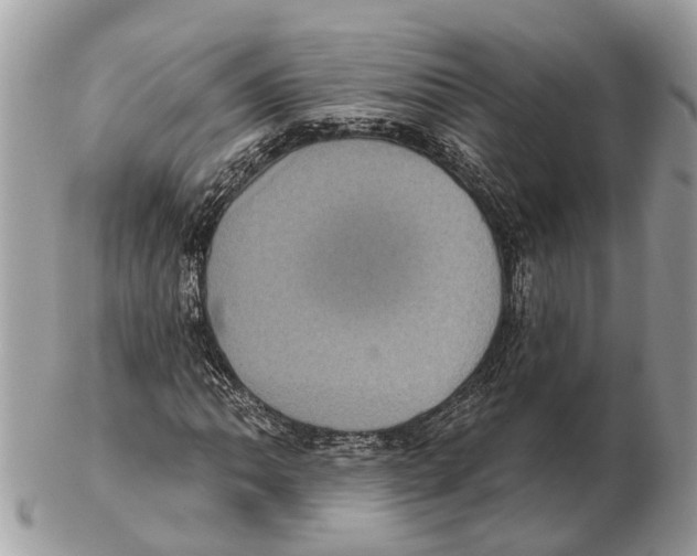 X0000102461062200809051305
