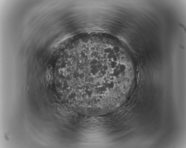 X0000102461063200809051305