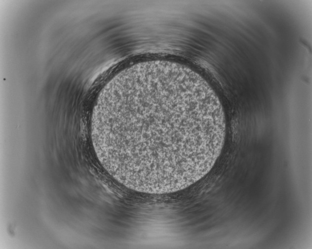 X0000102461064200809051304