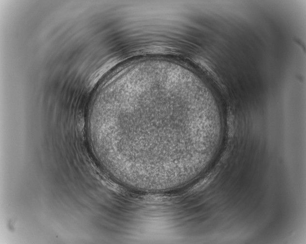 X0000102461065200809051304