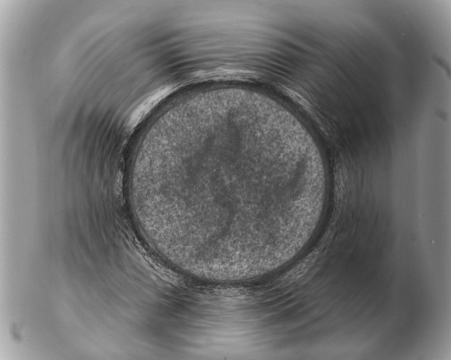 X0000102461066200809051304