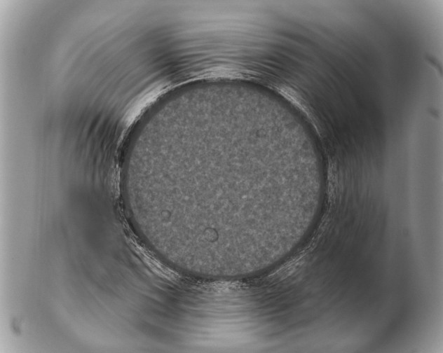 X0000102461067200809051304
