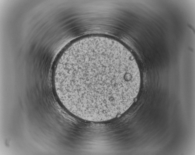 X0000102461068200809051304