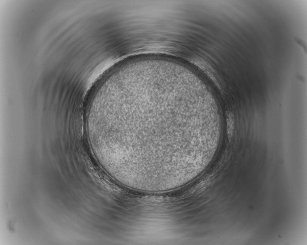 X0000102461069200809051304
