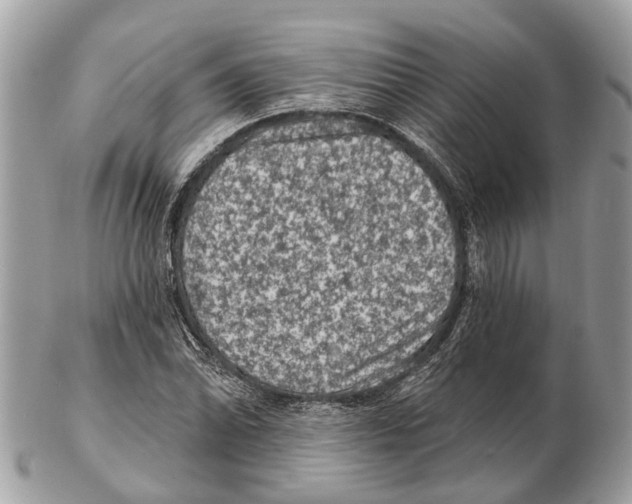 X0000102461070200809051304