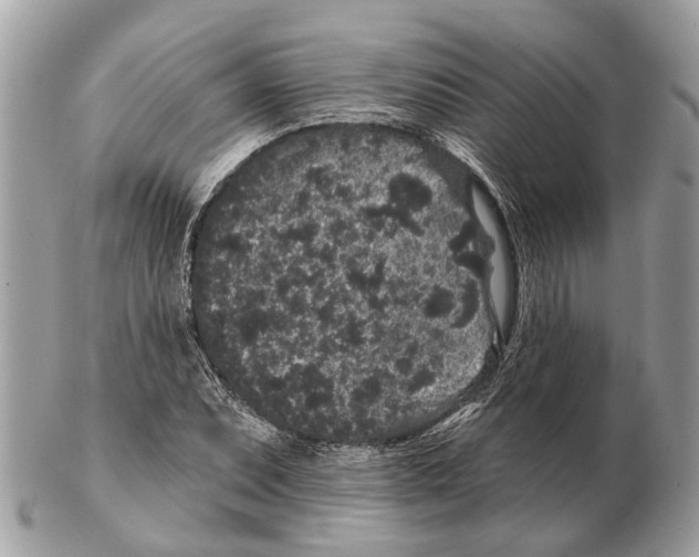 X0000102461071200809051304
