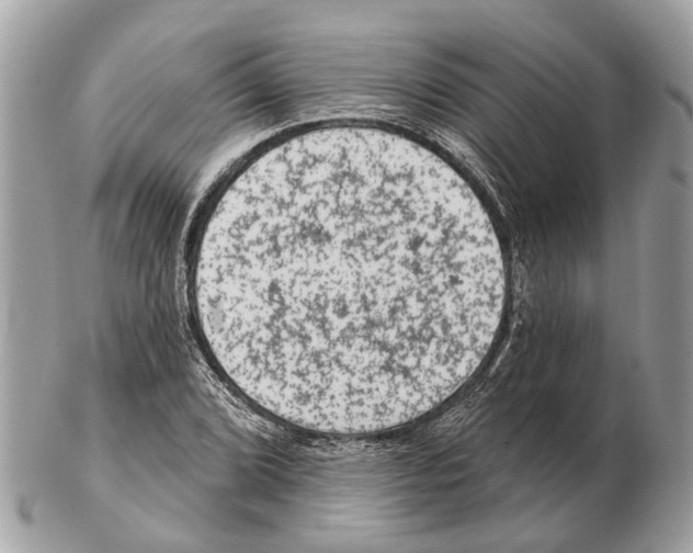 X0000102461072200809051304