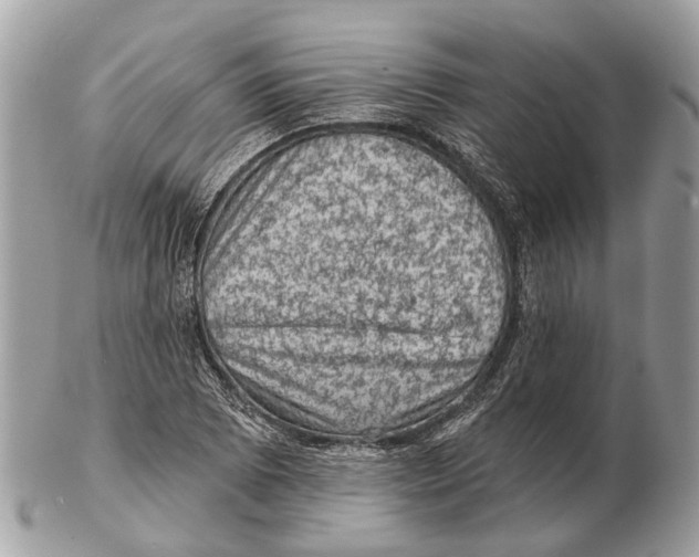 X0000102461073200809051304