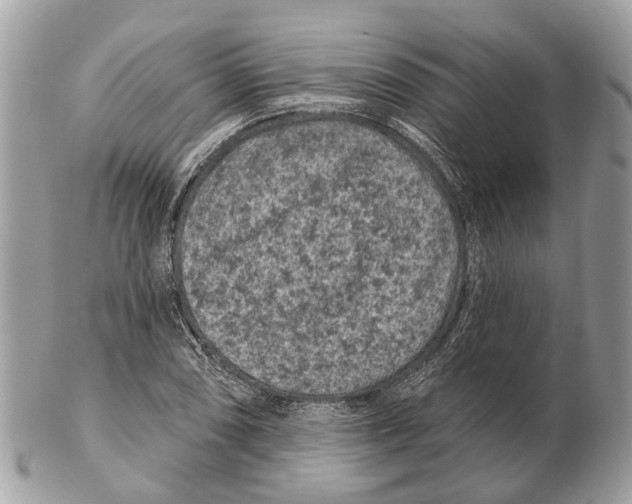X0000102461074200809051304