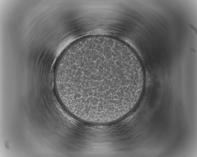 X0000102461075200809051304