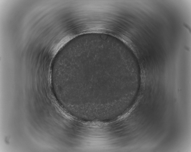 X0000102461077200809051304