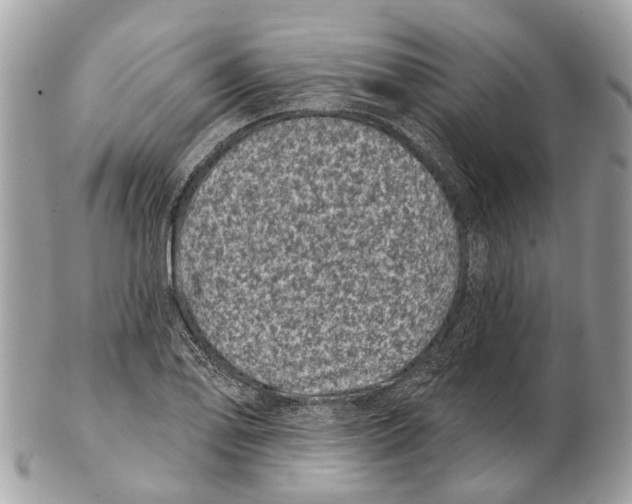 X0000102461078200809051304