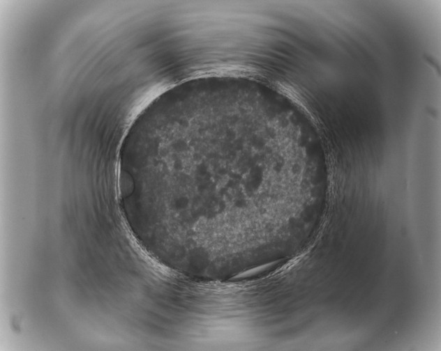X0000102461079200809051304