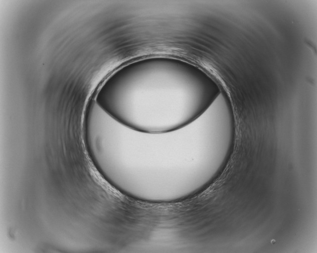 X0000102461080200809051304