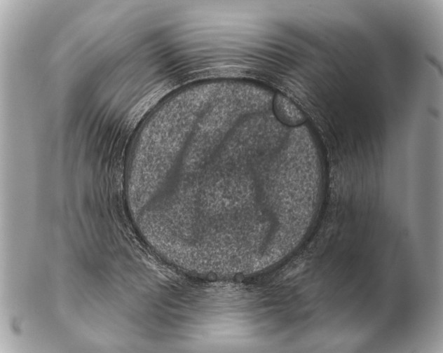 X0000102461081200809051304