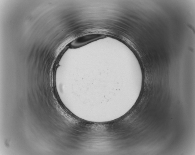 X0000102461082200809051304