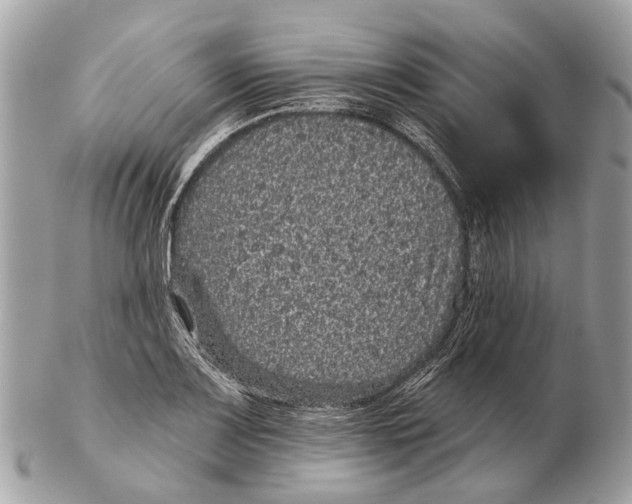 X0000102461083200809051304