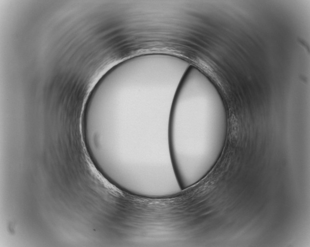 X0000102461084200809051304