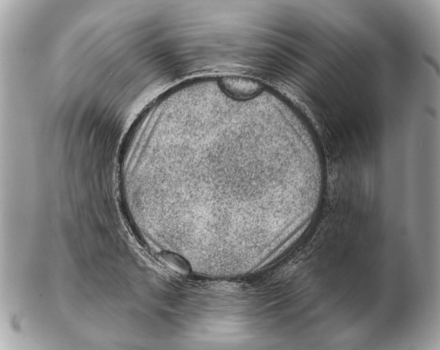 X0000102461085200809051304